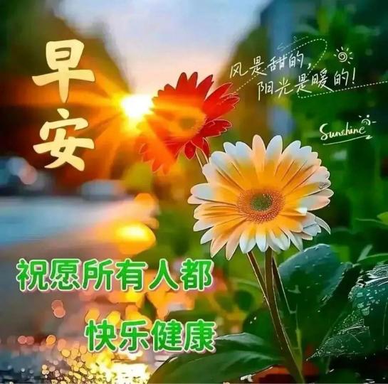 FD42ED8B-E025-4EBF-A958-E4B267315FEF-80142-00001444A4B9A009