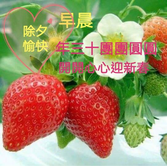 FD6D0523-3966-485D-A917-78B0F290A6E3-18656-000004409E5C203E