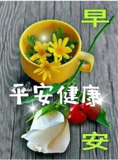 FD9D2F72-00E6-4E67-9FA8-D00738BD8F16-26837-00000DDABBCBE244