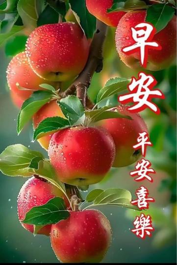 FDA5B6C8-F57F-433C-9991-D7C453075553-1163-0000001A118BD322