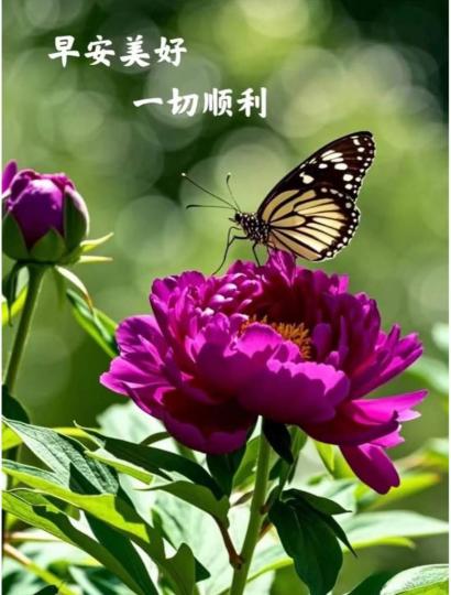 FE89025B-579F-41B3-A22D-91D3A8DFF39C-75169-0000074C859B5D14
