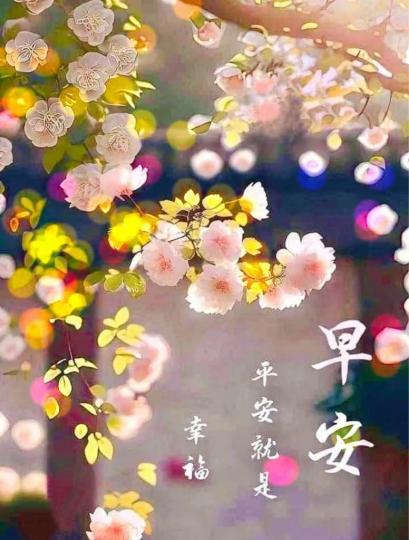 FEE06176-BD1D-44FB-9C40-5D164B7E7E00-21228-00000248E91C97DB