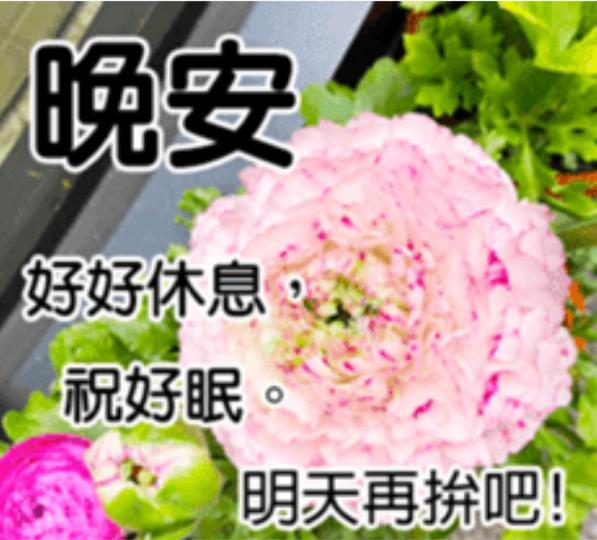 FF22F3E0-F8EC-4848-BC12-6071FB997137-16653-000003F1AF405253