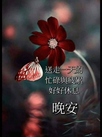 FF569D84-0E40-4A3C-A913-DB8CB514543F-55679-000006427E267C90