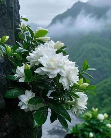 FF57EE5C-0400-4DDD-9B46-140A6F991AE6-85639-00001712C4CE4179