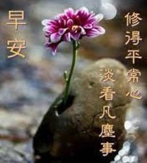 早安朋友，
平凡心看世界！...