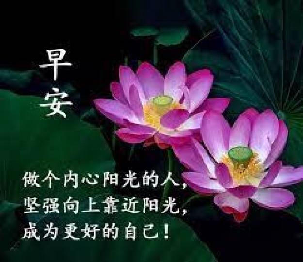 早安，
迎接美好陽光，
發光發亮！...