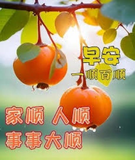 家順, 
               人順,
                           事事順!...