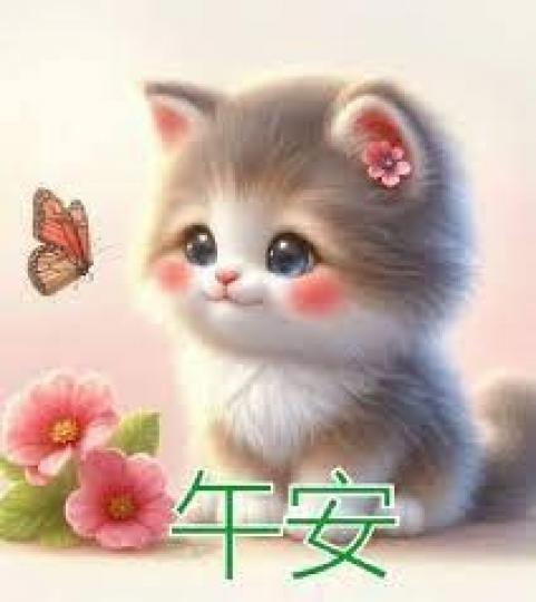 愜意
                    每一天!...