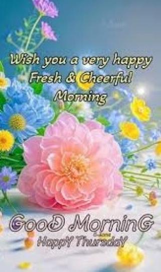 清新
                 星期四!...