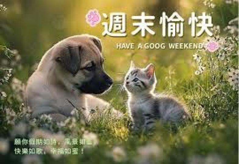 相處
                   融洽!...