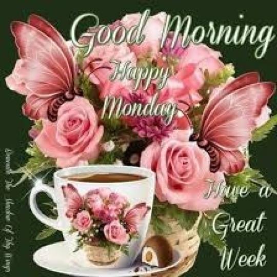 周一
                         早安!...