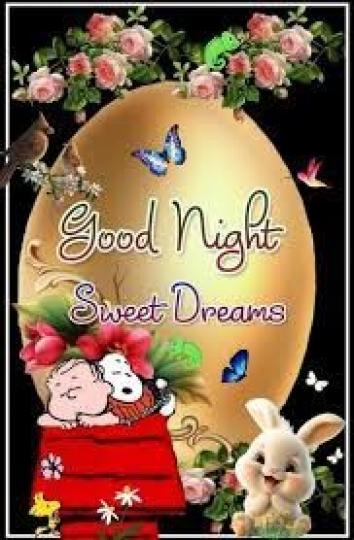 愉快
                      好眠!...