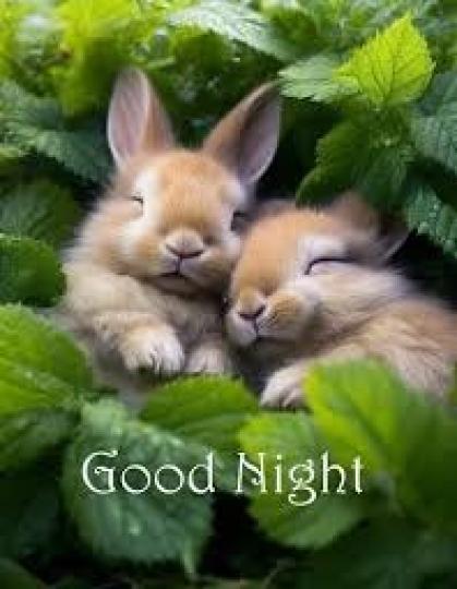 睡得
                      香甜!...