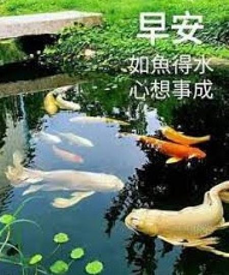 順風
                                                 順水!...