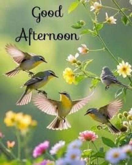 鳥兒
                         齊歡唱!...