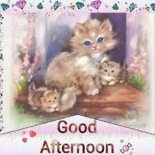 温馨
                                      一家親!...