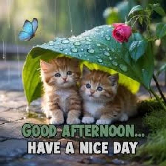 相互
                                      扶持!  待晴天!...