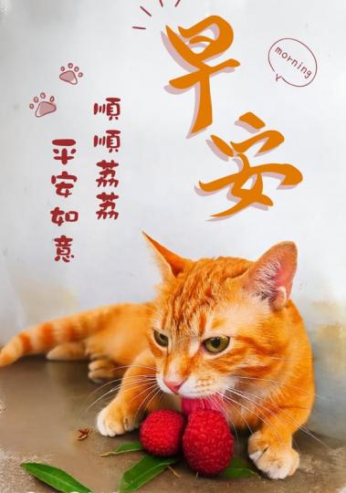 順順利利, 
                                      平平安安!...