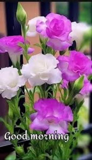 每一種熱爱, 
                                  都值得全力以赴!...