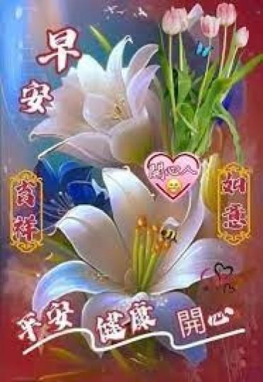 吉祥,
                                                                       如意!...