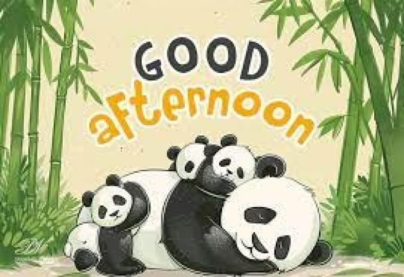 午安
                                          美好!...