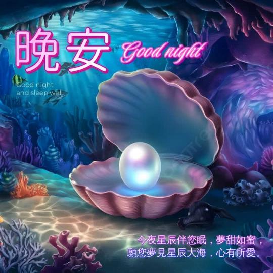 夜明珠, 
                                    海外之光!...