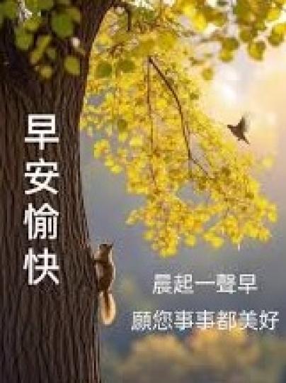 事事
                                                   美好!...