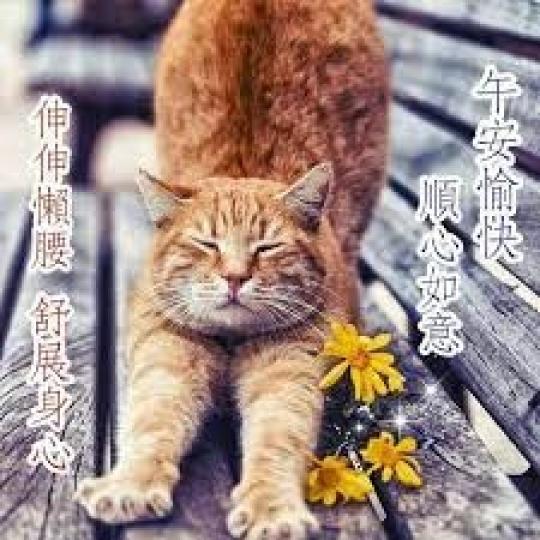 舒展
                                          身心!...