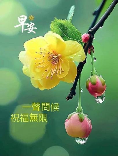 幸福
                                安康!...