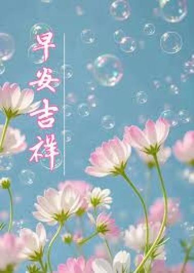 早安
                                                    吉祥!...