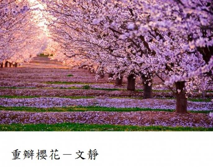 希望喜歡花的人都能多了解花語, 謝謝!...