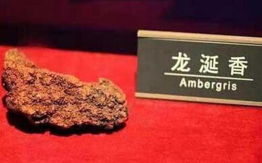 龍涎香
它是抹香鯨消化系統産生的一種臘狀物
古時漁民在海撈到將它幹燥後能散發
持久香氣,點燃時更是香味四溢,後被進
貢皇帝作宮庭香料,以後發掘爲藥用,叫
龍涎香,因極爲難得自古以來就是名貴
香料,中藥... 龍涎香
它是抹香鯨消化系統産生的一種臘狀物
古時漁民在海撈到將它幹燥後能散發
持久香氣,點燃時更是香味四溢,後被進
貢皇帝作宮庭香料,以後發掘爲藥用,叫
龍涎香,因極爲難得自古以來就是名貴
香料,中藥...