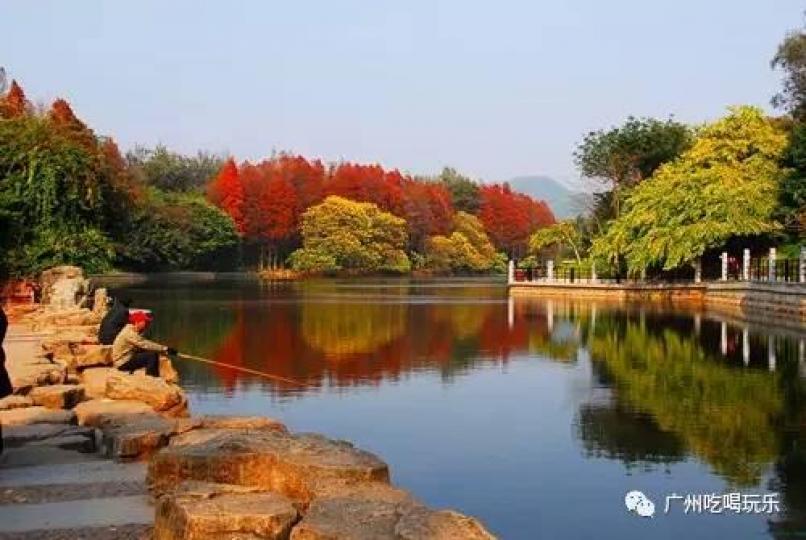 廣州市麓湖公園
它是廣州大型人工湖,位于白
雲山風景區,主要設施有聚芳
園.星海園.白雲仙館,兒童遊
樂園.高爾夫球場.鹿鳴酒家，
園內山清水秀,鳥語花香,聚集
了各種鳥類,是觀鳥拍攝者的
好去處。...