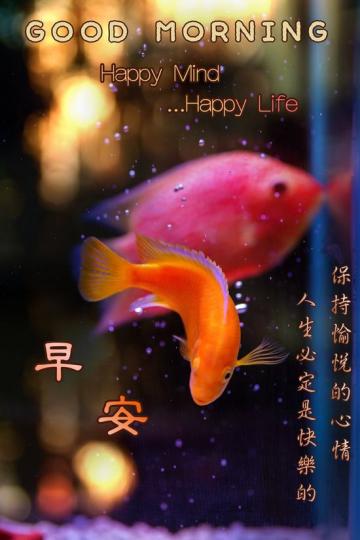 各位朋友早安,
心情愉快,
好運來！...