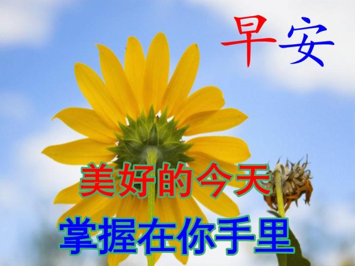 大家早安，
美好的一天開始了！...