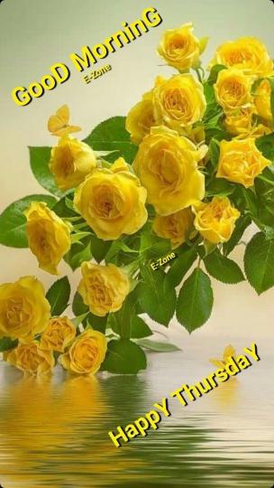 嬌豔的花朵，
點綴了生活！
朋友好！...