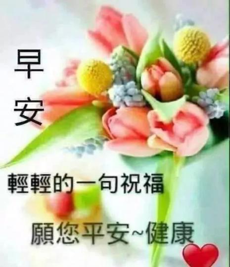 老友記早晨,安樂每一天...