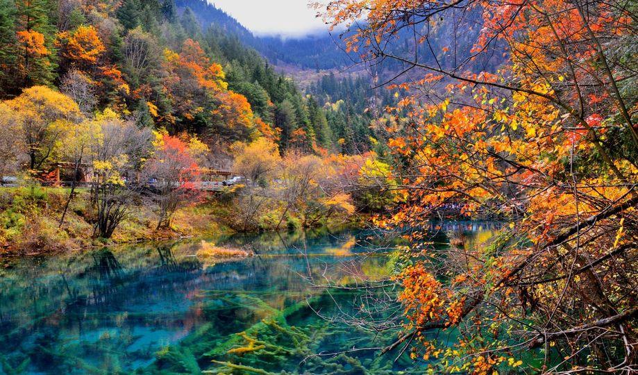 金秋9月10月的九寨溝美景...