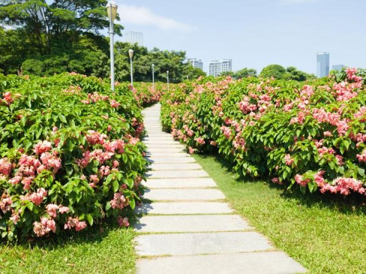 南山后海〔人才公園〕......