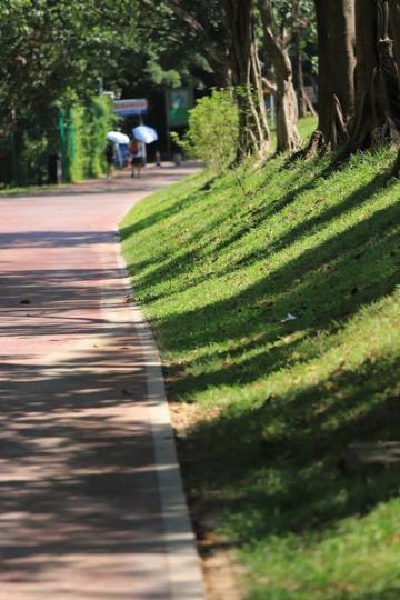 圳陌上花心園........