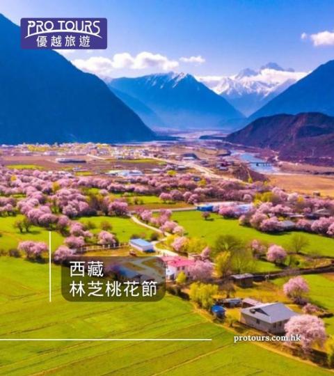 桃之夭夭· 灼灼其華.......