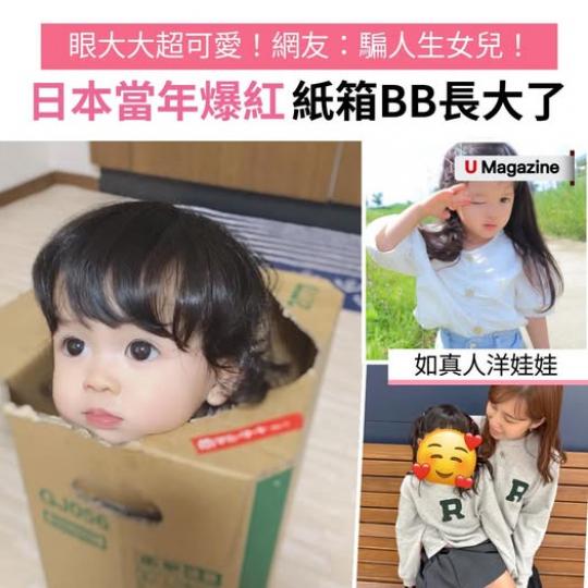 「紙箱寶寶」人氣爆燈......