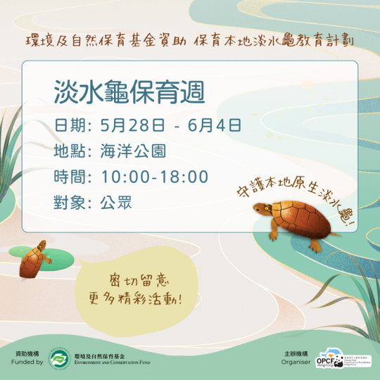 淡水龜保育週.......