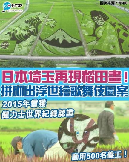 日本埼玉縣再現稻田畫！行田市以稻田畫而聞名...