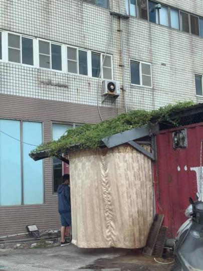 早餐店「掛鵝黃門簾遮陽」畫面越看越毛...