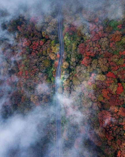 空拍阿里山國家風景區的台18線公路...