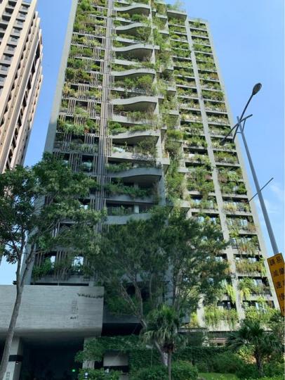 路上驚見「滿滿植物覆蓋大樓」外觀好怪異...