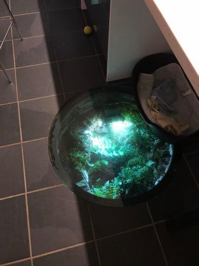 奶奶家的房子下有一個超深的洞，她直接做了一個圓圓玻璃罩蓋住...