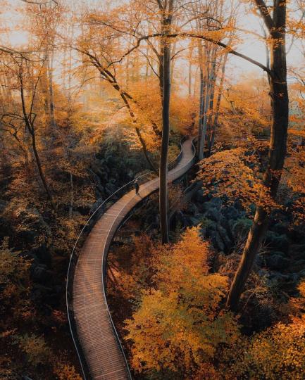 德國紹爾蘭的這處「山林步道」...